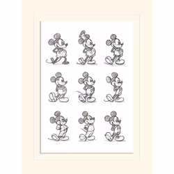 Pyramid International LMP11131P, 1 pièce(s), Disney, Rectangle