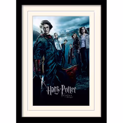 Pyramid International MP10686P, 1 pièce(s), Wizarding World, Rectangle
