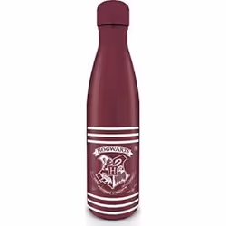 Gourde aluminium Pyramid Harry Potter Logo Poudlard