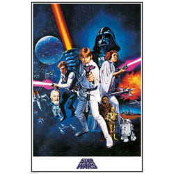 Pyramid International PP33337 affichages 1 pièce(s)