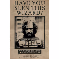 Pyramid International PP33681, 1 pièce(s), Wizarding World, Rectangle