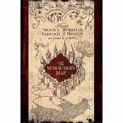 Pyramid International PP33921, 1 pièce(s), Wizarding World, Rectangle