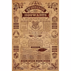 Pyramid International PP34067, 1 pièce(s), Wizarding World, Rectangle