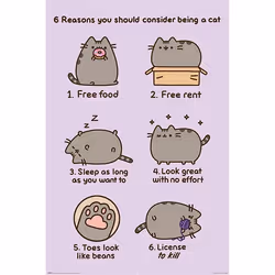Pyramid International PP34253, 1 pièce(s), Pusheen, Rectangle