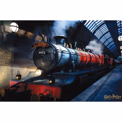 Pyramid International PP34368, 1 pièce(s), Wizarding World, Rectangle