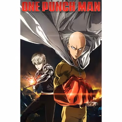 Pyramid International PP34383, 1 pièce(s), One Punch Man, Rectangle