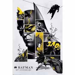 Pyramid International PP34559, 1 pièce(s), DC Comics, Rectangle