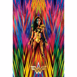 Pyramid International PP34573, 1 pièce(s), DC Comics, Rectangle