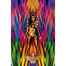 Pyramid International PP34573 affichages 1 pièce(s)