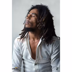 Pyramid International PP34623, 1 pièce(s), Bob Marley, Rectangle
