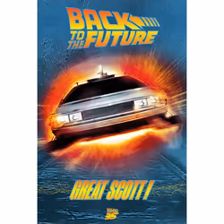 Pyramid International PP34681, 1 pièce(s), Back to the Future, Rectangle