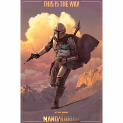 Pyramid International PP34733, 1 pièce(s), Star Wars, Rectangle
