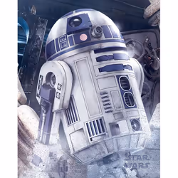 Pyramid International MPP50711, 1 pièce(s), Star Wars, Rectangle
