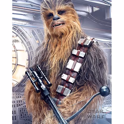 Pyramid International MPP50712, 1 pièce(s), Star Wars, Rectangle
