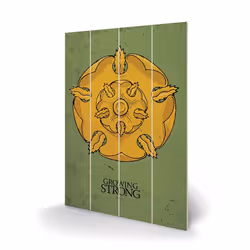 PYRAMID sw11389p, Bois, Multicolore, Intérieure, Rectangle, Game Of Thrones, 590 mm