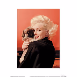 Pyramid International PPR44291, 1 pièce(s), Marilyn Monroe, Rectangle