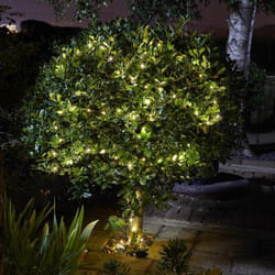Smart Solar - Guirlande solaire filament 50 lucioles blanc chaud
