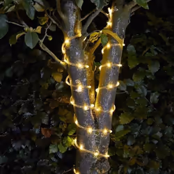 Guirlande solaire - SMART SOLAR - 100 LEDs - Tube souple transparent - Énergie solaire - Blanc chaud