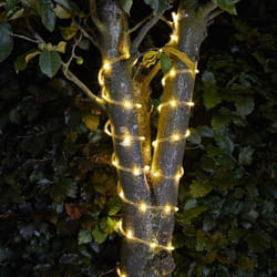 Guirlande solaire - SMART SOLAR - 100 LEDs - Tube souple transparent - Énergie solaire - Blanc chaud