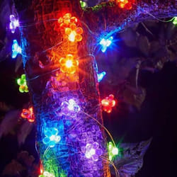 Guirlande solaire - SMART SOLAR - 30 Fleurs Multicolores - 30 LEDs - Autonome - Extérieur
