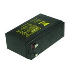 PSA Parts SW200 Batterie de l'onduleur Sealed Lead Acid (VRLA) 12 V