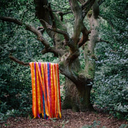 ImportCDs Animal Spirits CD Danse