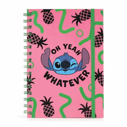 Carnet de notes - carnet de bord Pyramid international - 8AE7496539