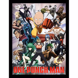 Pyramid International FP12398P, 1 pièce(s), One Punch Man, Rectangle