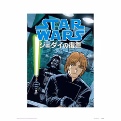 Pyramid International PPR44808, 1 pièce(s), Star Wars, Rectangle