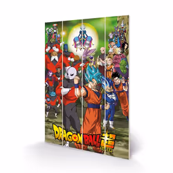Pyramid International SW12805P, 1 pièce(s), Dragon Ball Z, Rectangle, Bois