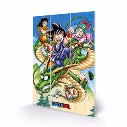 Pyramid International MW12806P, 1 pièce(s), Dragon Ball Z, Rectangle, Bois