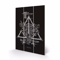 Pyramid International MW12848P, 1 pièce(s), Wizarding World, Rectangle, Bois