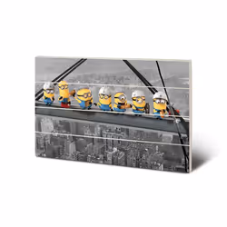 Pyramid International SW11817P, 1 pièce(s), Despicable Me, Rectangle, Bois