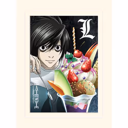 Pyramid International LMP12291P, 1 pièce(s), Death Note, Rectangle