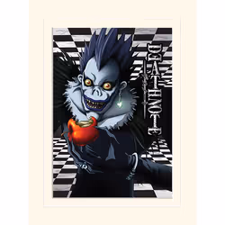 Pyramid International LMP12292P, 1 pièce(s), Death Note, Rectangle