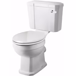 Ajoutez une touche d'élégance classique à votre salle de bains avec ce toilette de style traditionnel. La cuvette de toilette ...