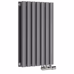Le radiateur design horizontal Vitality Caldae est doté d'une finition anthracite poudrée (RAL 7016), qui transforme votre es ...