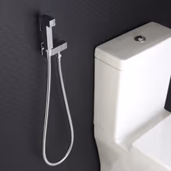 La douchette hygiénique est l'accessoire moderne incontournable des toilettes contemporaines. Douchette pour WC en laiton. Fi ...