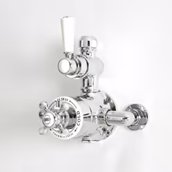 Donnez une touche d'élégance rétro à votre salle de bain avec le mitigeur thermostatique exposé Elizabeth. Muni d'un contrôle ...