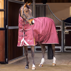 Couverture d'extérieur pour cheval Highlander Plus Combo 100g