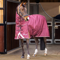 Couverture d'extérieur pour cheval Highlander Plus Combo 100g