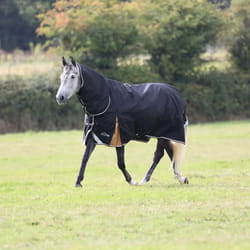Couverture d'extérieur pour cheval Highlander Plus Combo 200g