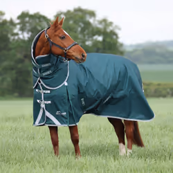 Couverture d'extérieur pour cheval avec couvre-cou Highlander Original 300g