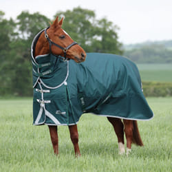 Couverture d'extérieur pour cheval avec couvre-cou Highlander Original 300g