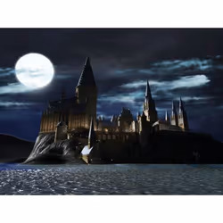 Warner Bros LEGO Harry Potter: Collection Standard PlayStation 4 - Vue supplémentaire 8