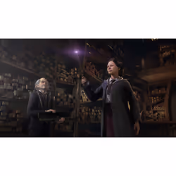 Warner Bros Hogwarts Legacy (PS4) Standard Multilingue PlayStation 4 - Vue supplémentaire 5