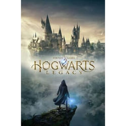 Warner Bros. Games Hogwarts Legacy Standard Multilingue Nintendo Switch