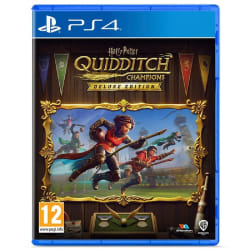 Harry Potter Champions de Quidditch