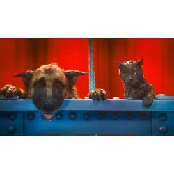 Warner Bros Cats & Dogs: Die Rache der Kitty Kahlohr DVD Allemand, Anglais