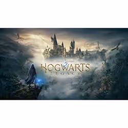 Warner Bros Hogwarts Legacy, PlayStation 4, T (Teen), Téléchargement